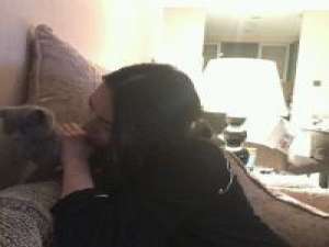 过度高傲最终注定失败