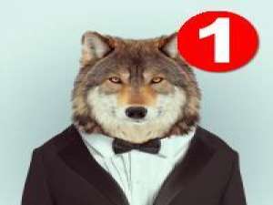 它们的时尚 从猴子变成人需要成千