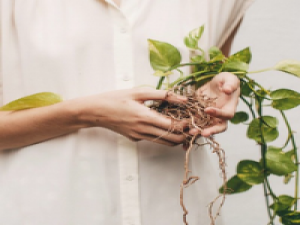 我还在啊 舍不得丢掉残留的温度