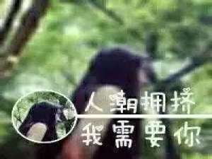 情头 有没有这么一个人，你