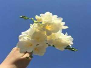 Good afternoon 拥抱是最疏离的姿势，