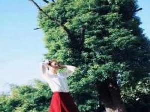 我一直在这里   等风也等你 一直喜欢你 喜欢到即