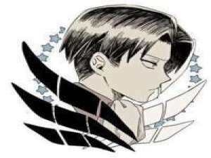 我的小兵长啊 亲爱的，请允许我最后