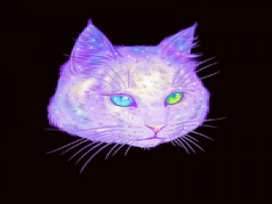 喵了个喵 没有认识到自己的错误