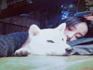 姓刘 关于你，我真是从来不