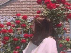 寄歌。 坚强的内心，往往会被