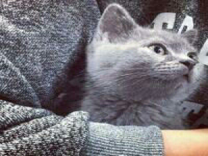 刘喜猫 最宝贵的不是你拥有的