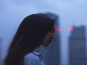 王喜猫 若当初不识不知不爱不