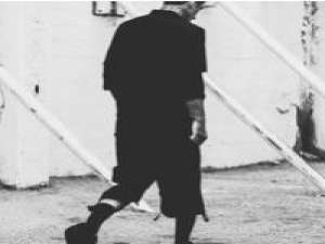 做我怀中人 粉丝有时候也是虚伪