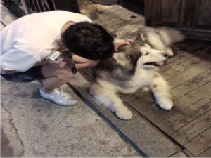 越南鹭 没有一个人，非要另一