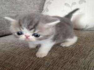 人从众 你对每个人都是一样不