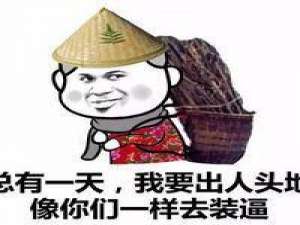 无人与我把酒分无人告