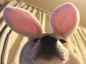 绅士 我们的青春就这样，开