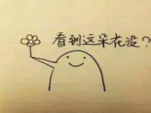 我只能爱你一次、因为