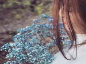 唯美花系列 昏昏沉沉 郁郁闷闷