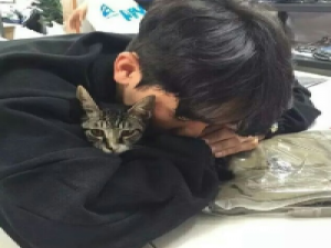 想起你很温柔. 如果爱没有那么烦我不