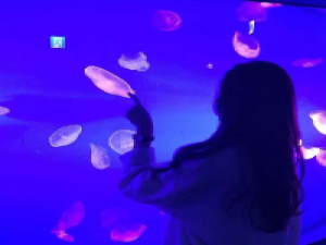 情人眼里出西施 笑自己多情到无所谓其