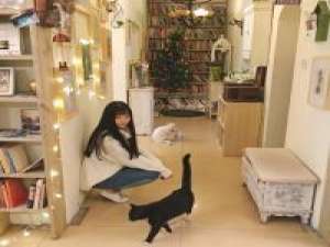 作死专家 灯影浆声里 天犹寒