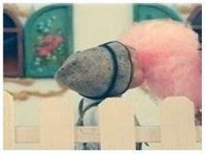 时光温暖如初 傷感的人愛喝小酒，寂