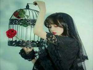 败叶 那第一次拥抱的地点。