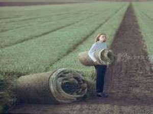 心系 第一眼就喜欢的人该怎