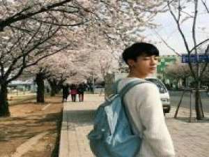 情~话 放弃也是一种解脱.