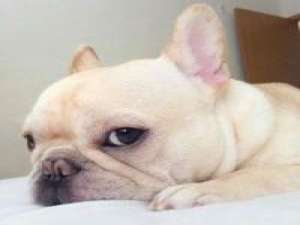 嗨。 多数的错失，是因为不