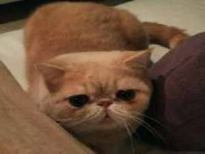 方绾绾wan 什么都不怕的人最可怕