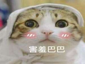 小可爱 当所有矛头都指向我时