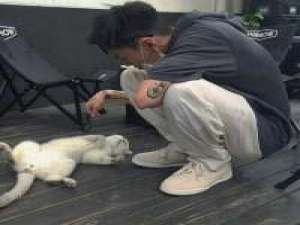 老实讲 要不是你 我过得比谁都好 如果有一天我们变陌生