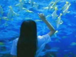 多人姐妹头像. 还来不及走向妥协的影