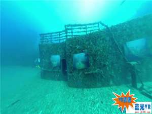 绝美海底画展下载 97MB 环球旅行类VR视频