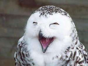 几则经典笑话，脑筋急转弯开怀大笑