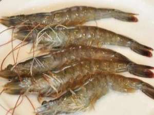 河虾的十一道做法(油炸河虾、蒜蓉河、黑椒河虾等)