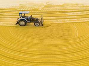 为什么说粮食是战略物资，关乎国家生存？