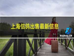 上海信鸽出售最新信息
