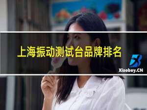 上海振动测试台品牌排名