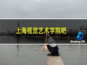 上海视觉艺术学院吧
