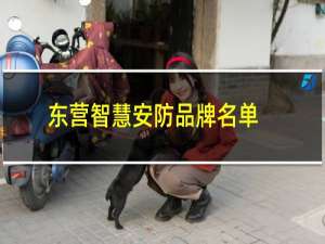 东营智慧安防品牌名单