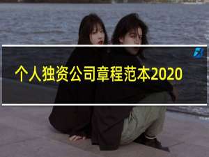 个人独资公司章程范本2020