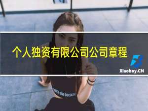 个人独资有限公司公司章程