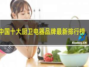中国十大厨卫电器品牌最新排行榜