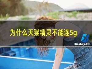 为什么天猫精灵不能连5g