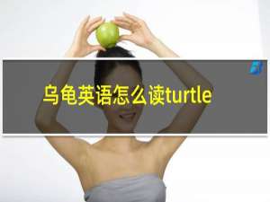 乌龟英语怎么读turtle