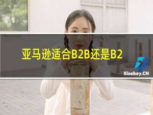 亚马逊适合B2B还是B2