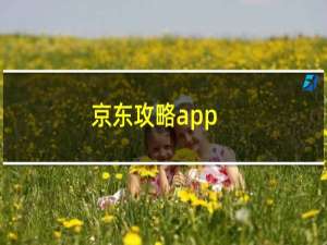 京东攻略app