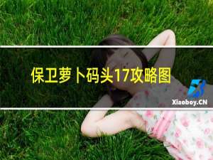 保卫萝卜码头17攻略图