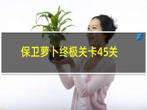 保卫萝卜终极关卡45关