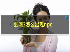 剑网3怎么出现npc