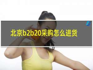 北京b2b 采购怎么进货